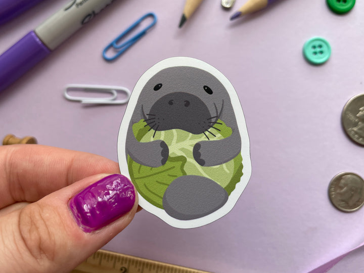 Manatee Lover Gift Set