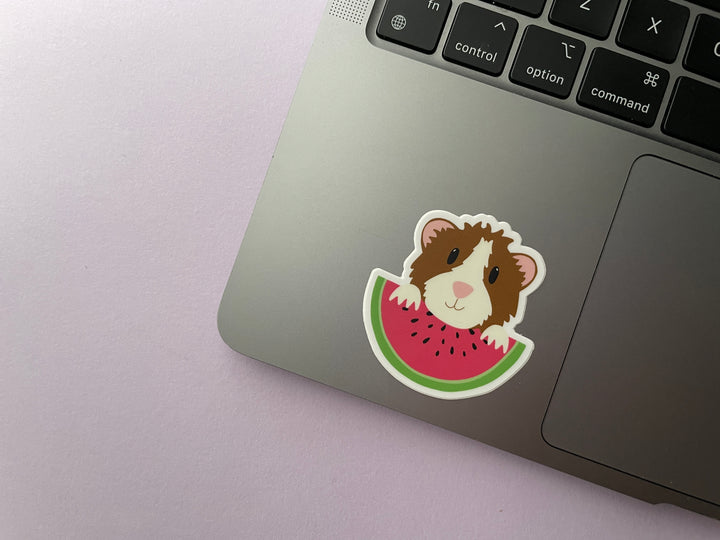 A sticker of a brown and white guinea pig holding a large slice of watermelon with black seeds is shown on a silver laptop.