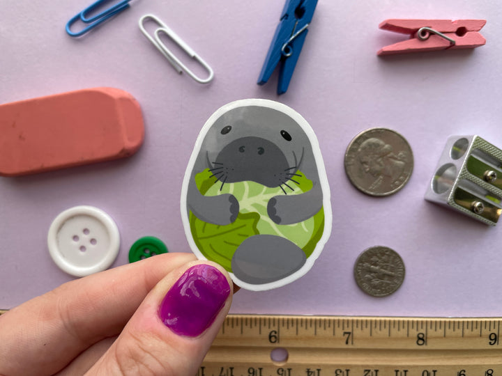 A magnet of a cartoon grey manatee with flippers wrapped around a head of green lettuce is held over a purple background covered in objects.